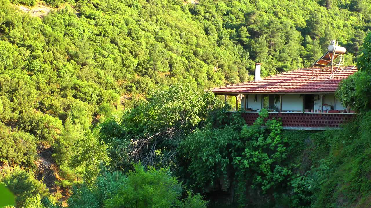 Stock Video Holiday House In The Mountain Forest Animated Wallpaper - Free Download