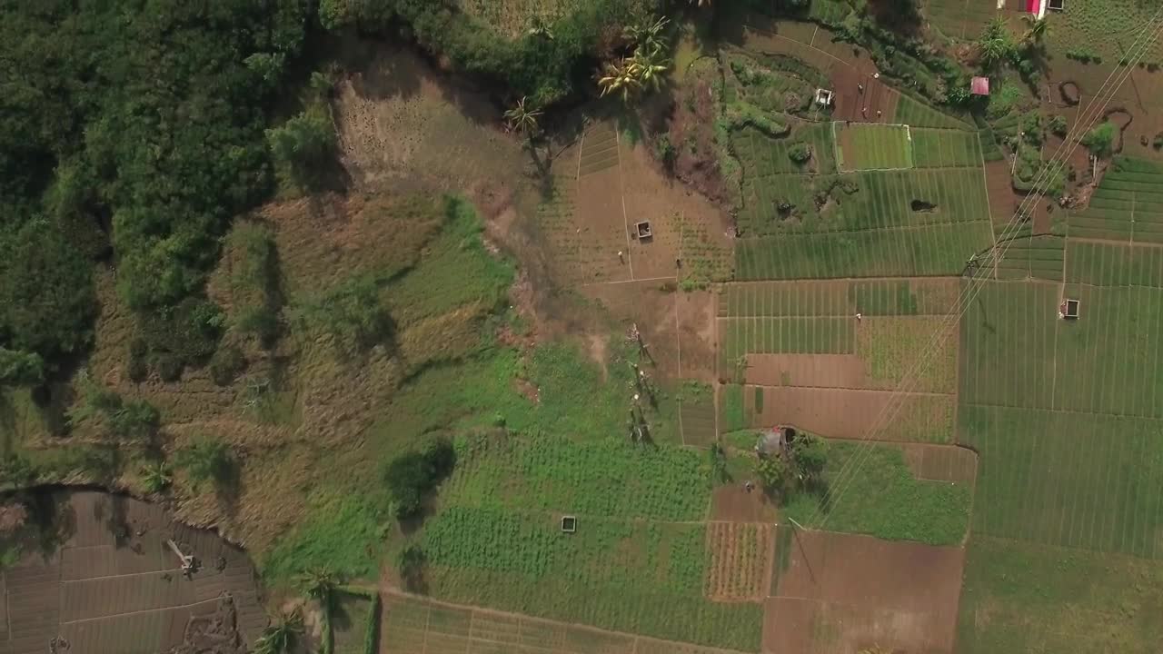Stock Video Farmlands And Tiny Houses Live Wallpaper For PC - Free Download