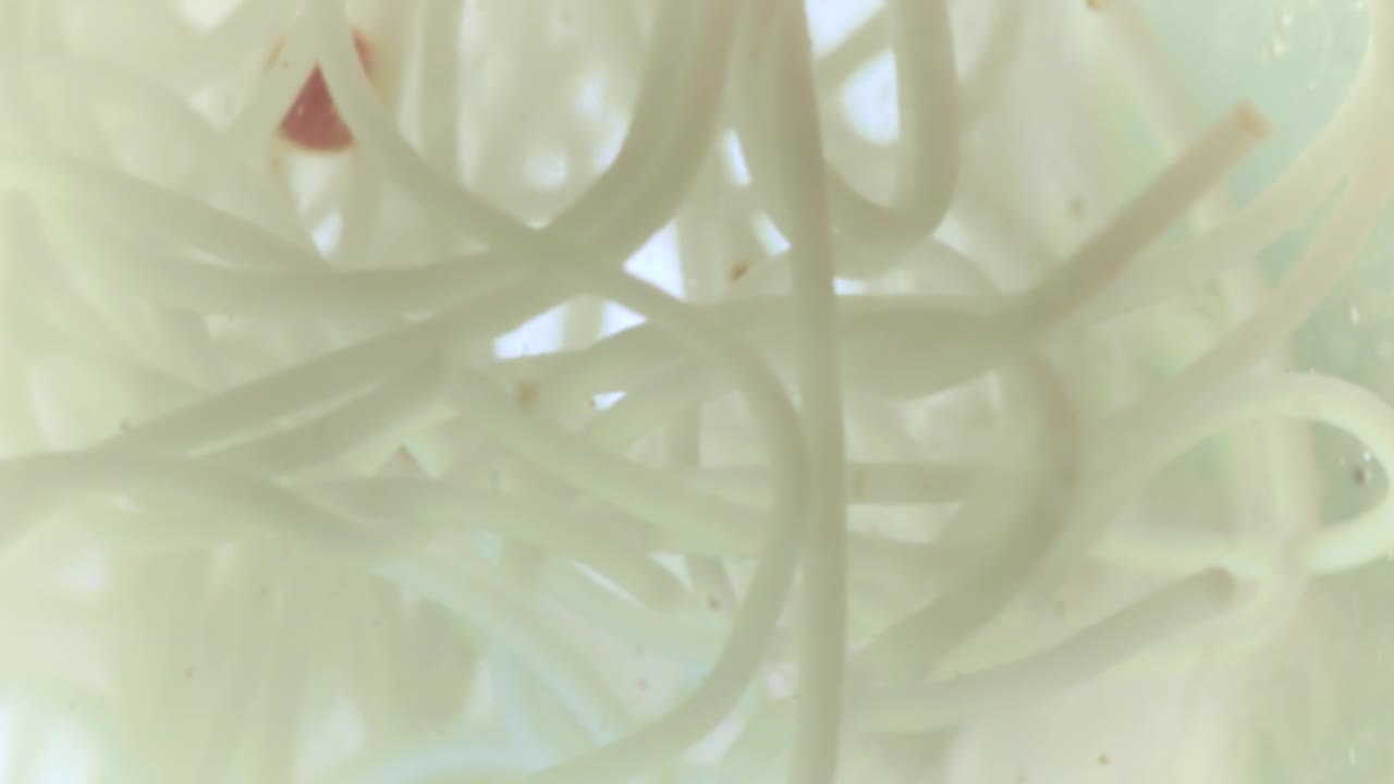 Stock Footage White Bacteria In Liquid Live Wallpaper - Free Download