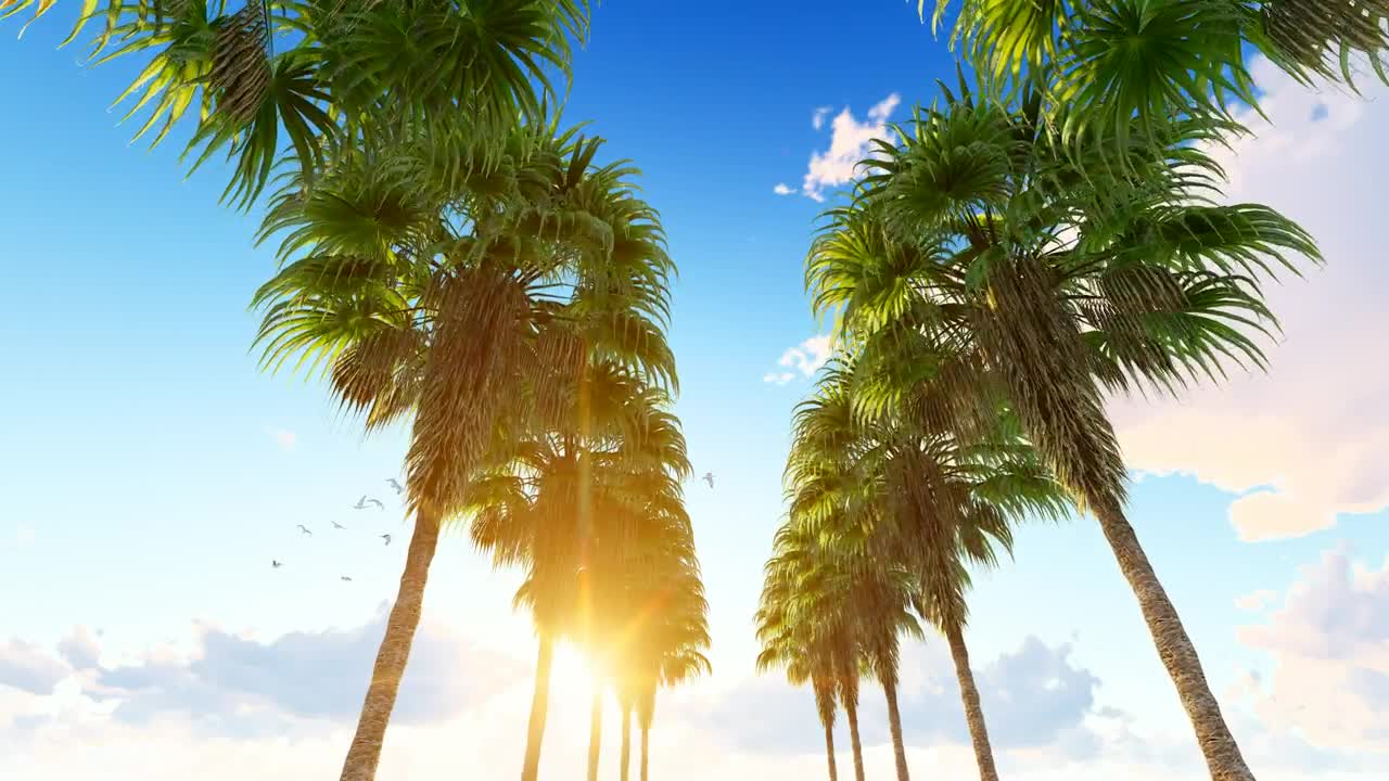 Free Stock Video Row Of Palm Trees On The Hawaii Beach Live Wallpaper - Free Download