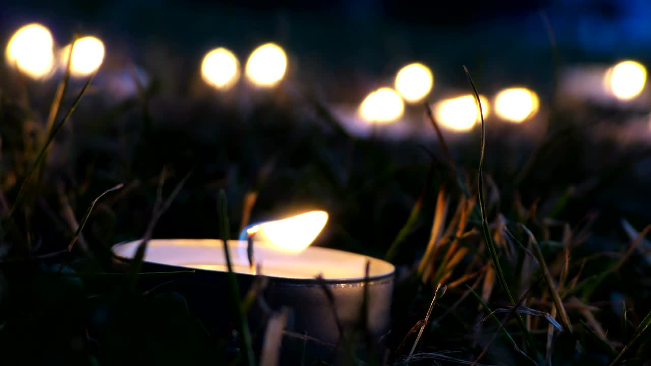Video Stock Candles In The Garden At Night Live Wallpaper For PC - Free Download