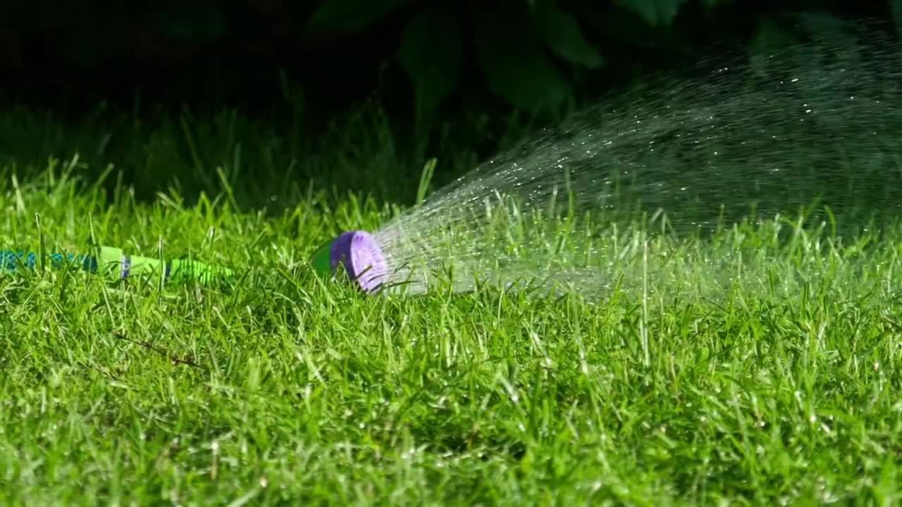 Stock Video Garden Spraywer On The Grass Live Wallpaper For PC - Free Download