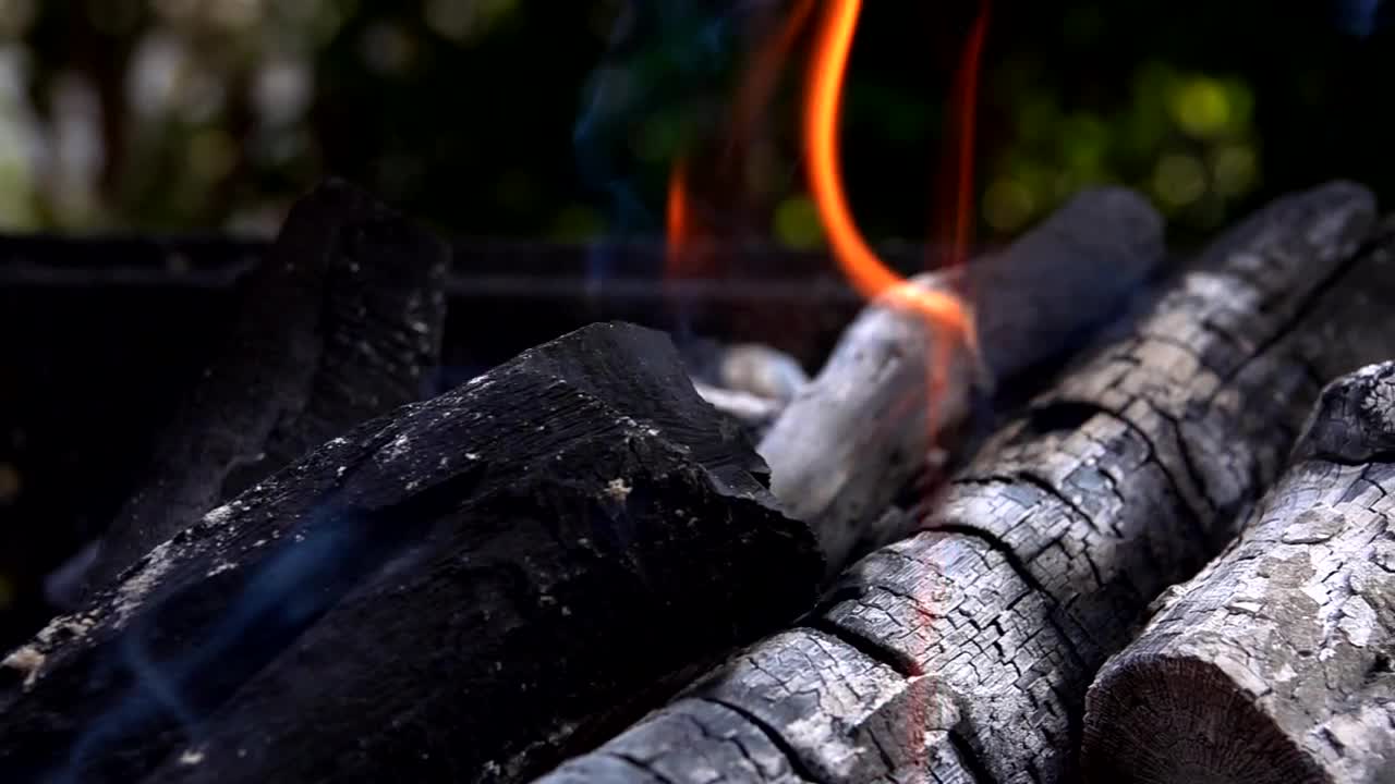 Stock Video Coal Covered In Ash On A Roast Live Wallpaper For PC - Free Download