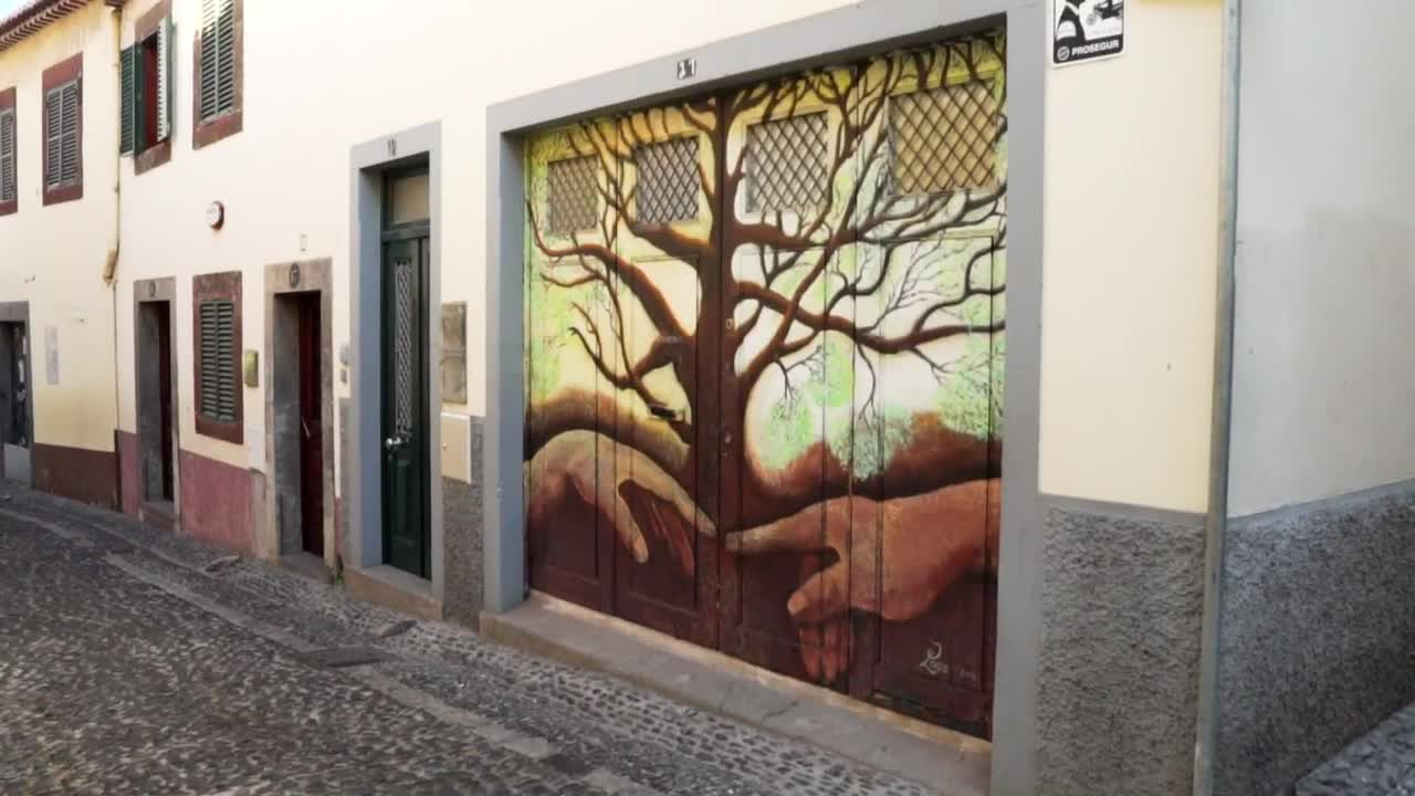 Stock Video Mural Art On The Facade Of A House Live Wallpaper - Free Download