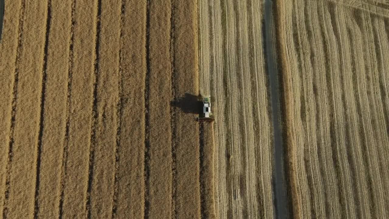 Stock Video Harvesting A Field Animated Wallpaper - Free Download