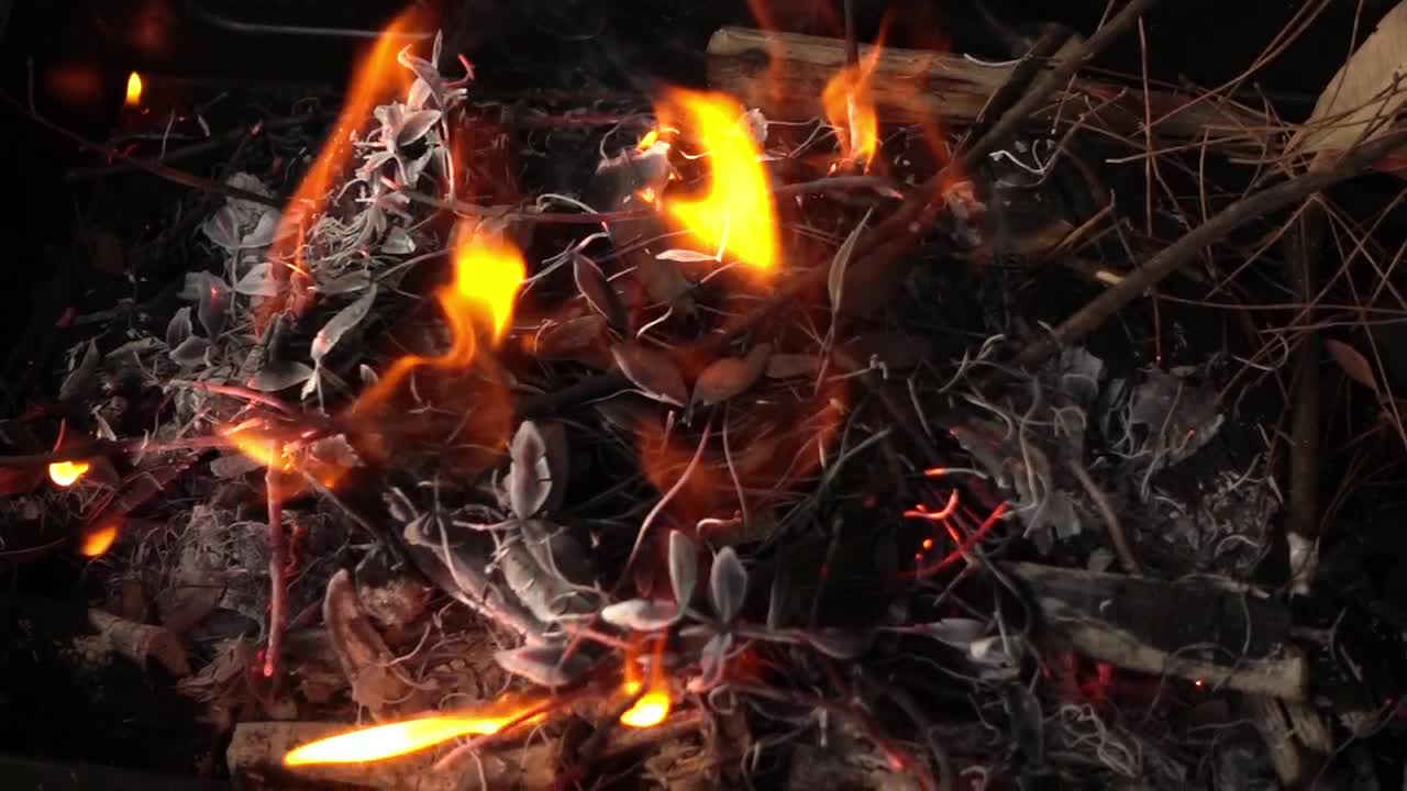 Video Stock Campfire Made With Branches Live Wallpaper For PC - Free Download
