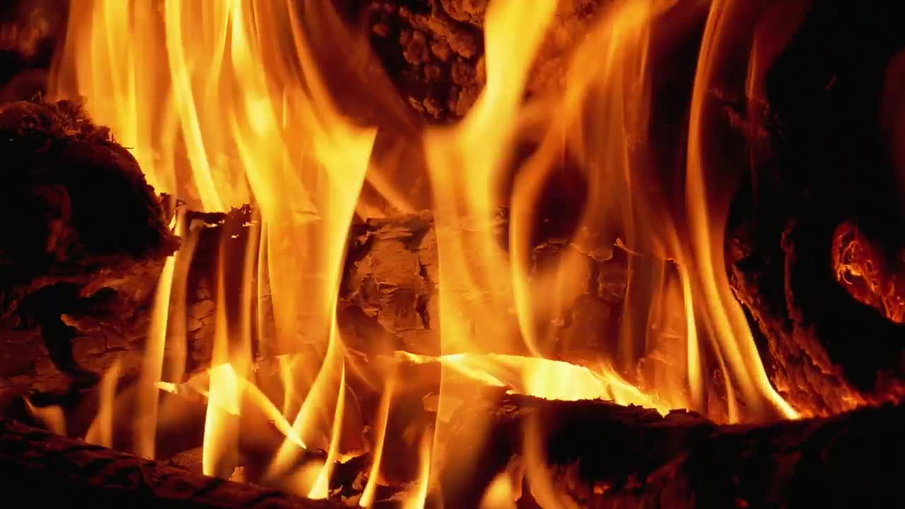 Stock Video Firewood Burning With Large Flames Live Wallpaper For PC - Free Download