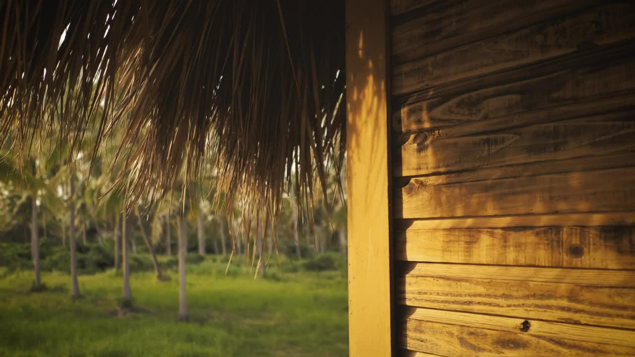 Stock Video Palapa And A Palms Garden Live Wallpaper - Free Download