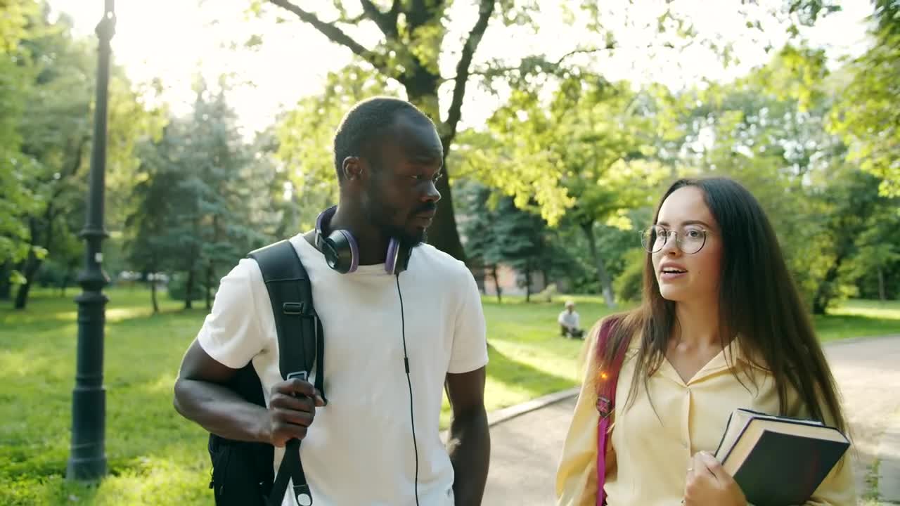 Stock Video Friends Chat While Walking Through Sunlit Park Live Wallpaper For PC - Free Download