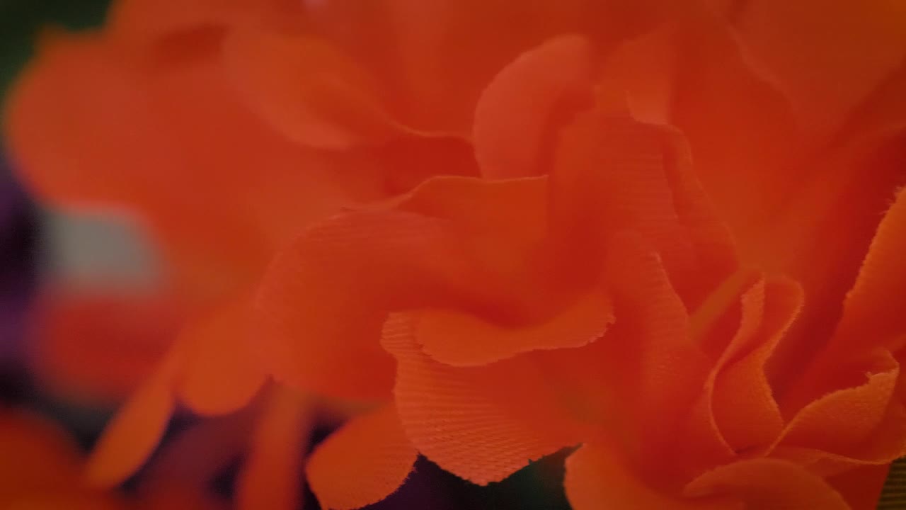Stock Video Colorful Artificial Flowers Detail View Live Wallpaper For PC - Free Download