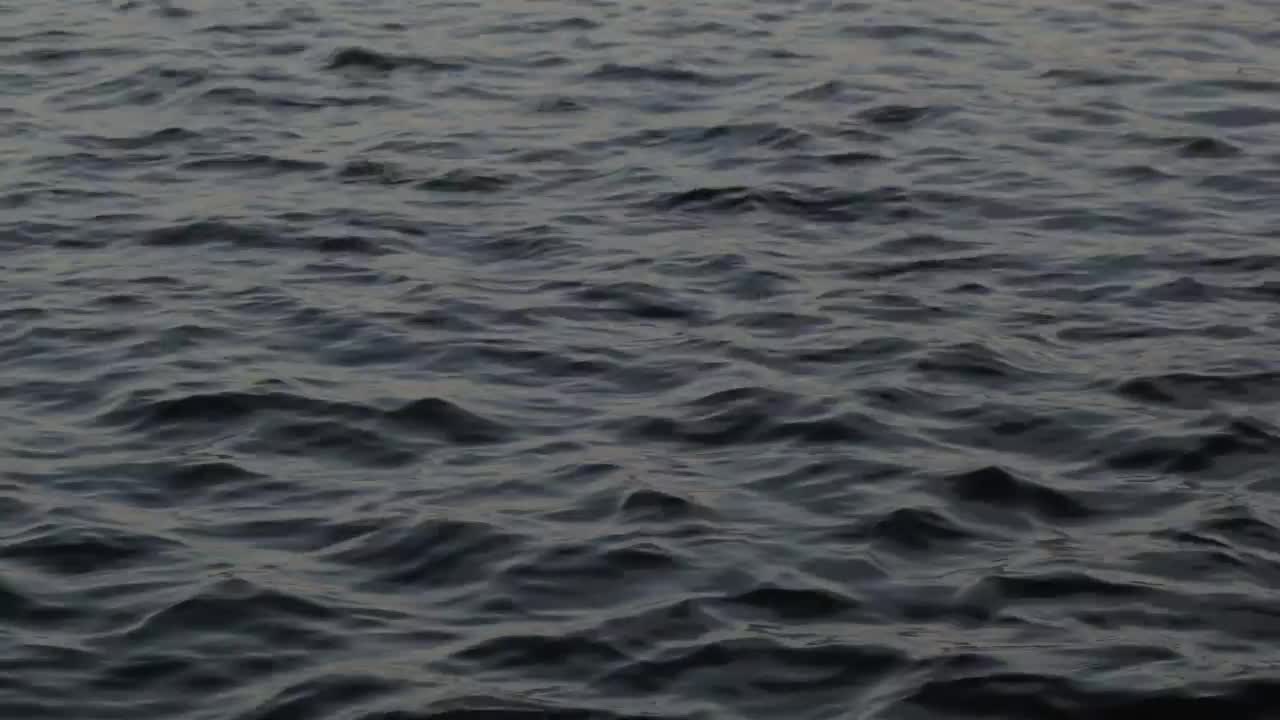 Stock Video Gentle Ripples Across A Harbor Live Wallpaper For PC - Free Download