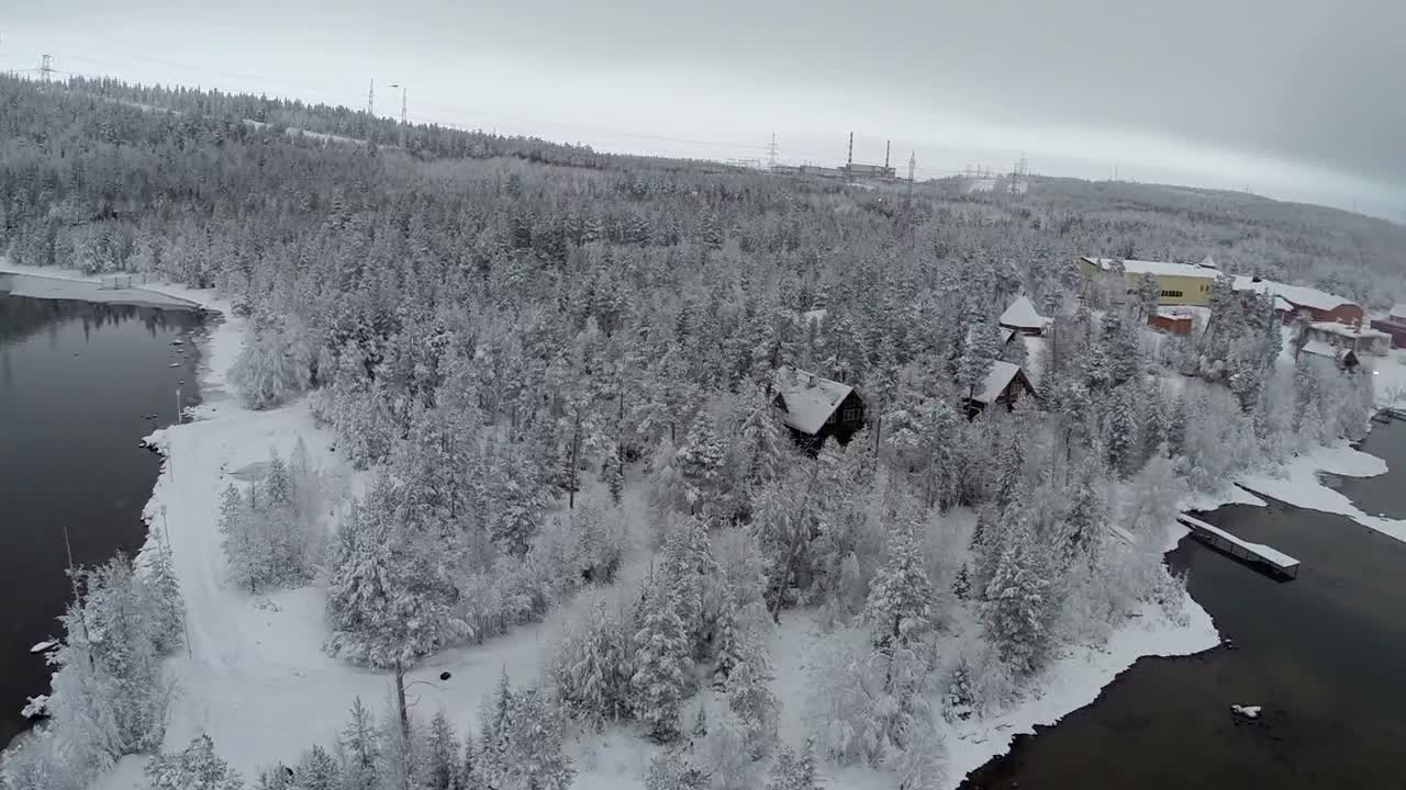 Video Stock Pines Covered In Snow Live Wallpaper Free - Free Download