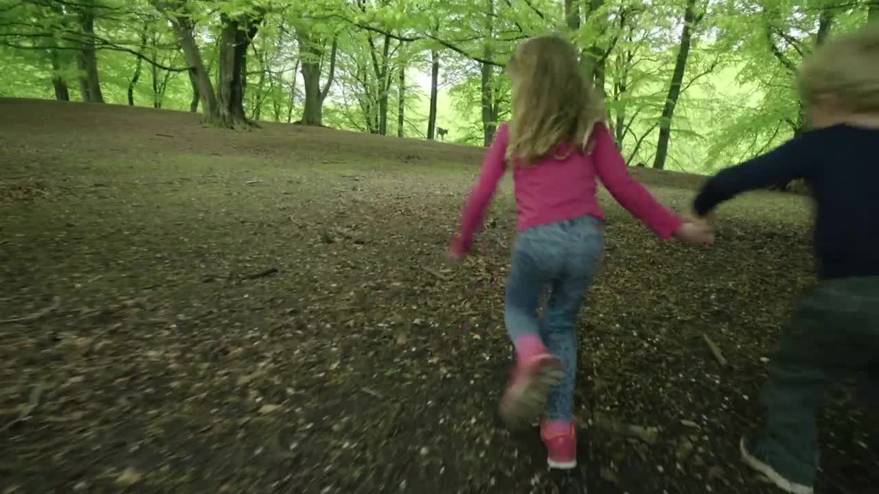 Stock Video Friends Running Through Trees Live Wallpaper For PC - Free Download