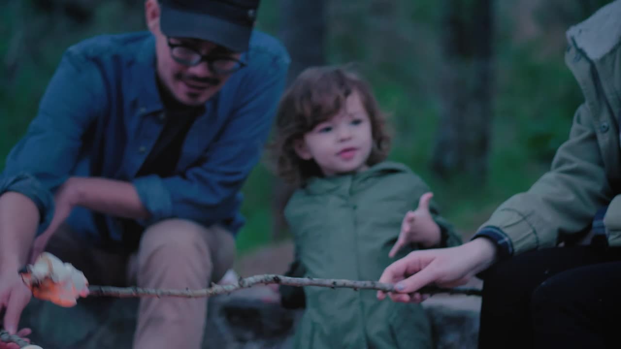 Stock Video Family Roasting Marshmallows Over A Campfire Live Wallpaper For PC - Free Download