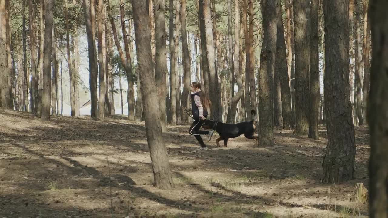 Stock Video Girl Running With Her Dog Among The Trees Live Wallpaper For PC - Free Download