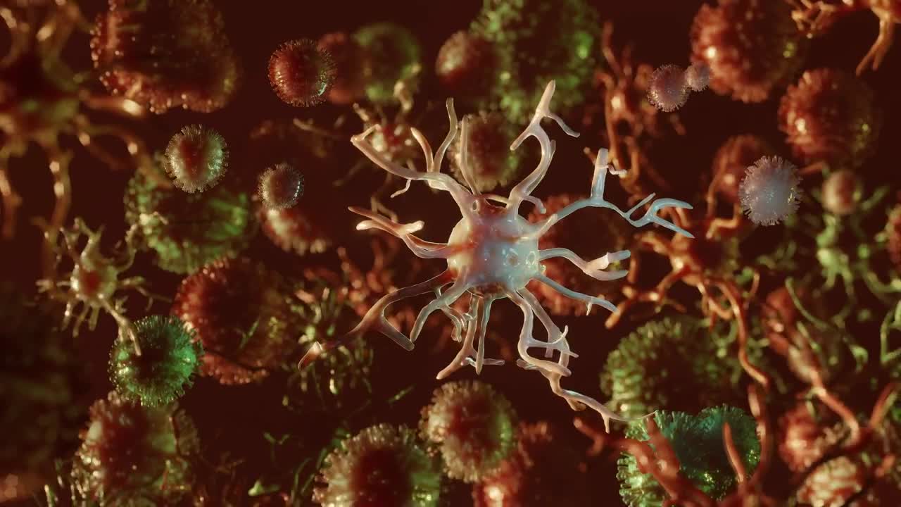 Stock Video Covid  Floating Microscopic Virus Animation Live Wallpaper For PC - Free Download
