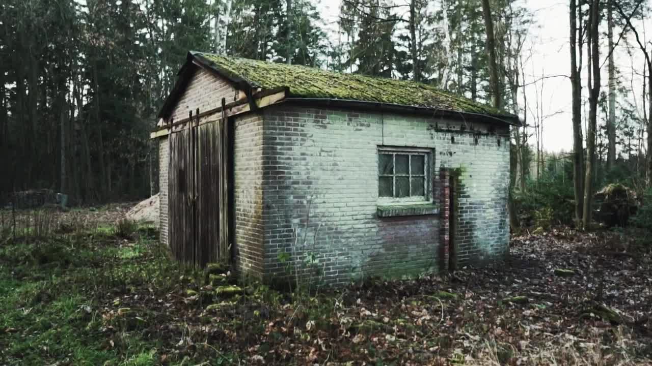 Stock Video Old Brick Shed In A Forest Live Wallpaper - Free Download