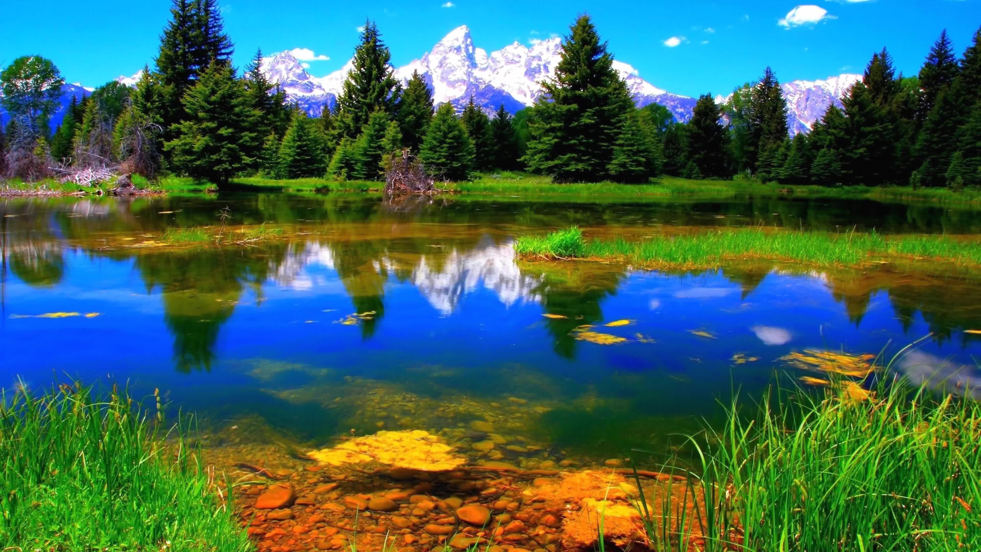 Landscape  River  Nature  4K  Live  Wallpaper - Free Download