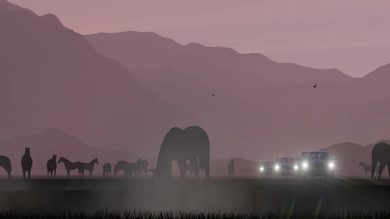 Video Stock Pick Ups Coming From Some Wild Horses Live Wallpaper Free - Free Download