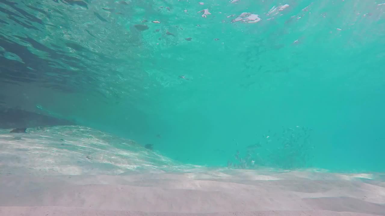 Free Stock Video Sand At The Bottom Of The Sea With Fish Live Wallpaper - Free Download