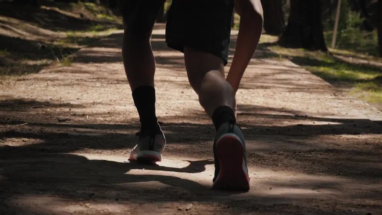 Free Stock Video Runner Training In A Park Live Wallpaper - Free Download