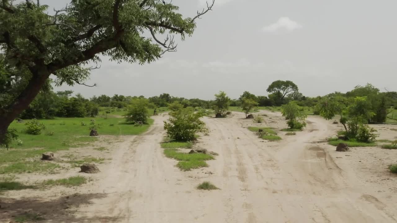 Stock Video Dry Roads Through Mali Live Wallpaper For PC - Free Download