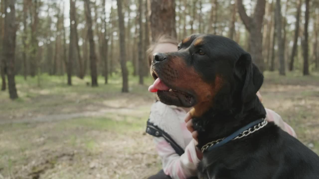 Stock Video Girl Stroking Her Dog In The Forest Live Wallpaper For PC - Free Download