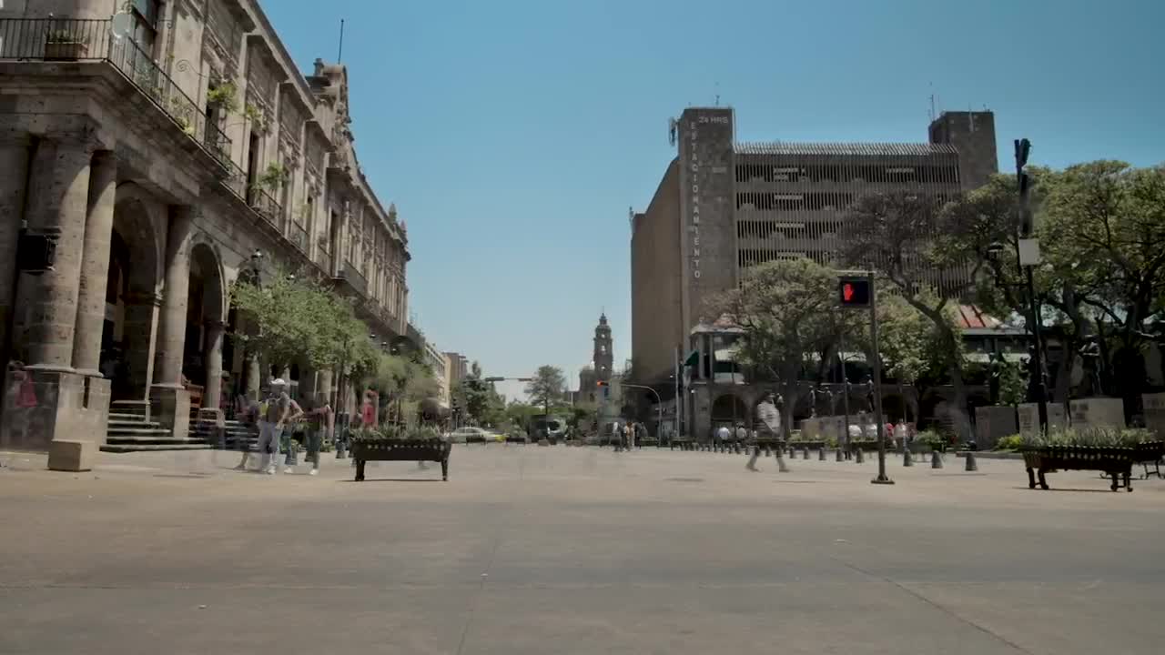 Stock Video Crosswalk In The City Live Wallpaper For PC - Free Download