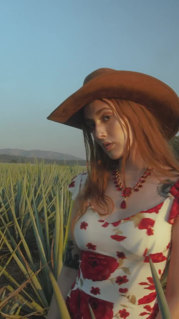 Stock Video Girl With Mexican Hat Among Many Magueys Live Wallpaper For PC - Free Download