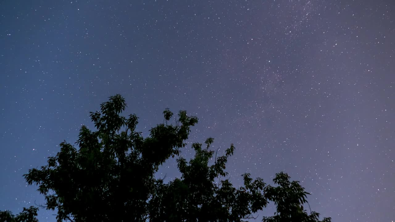 Free Video Stock Starry Sky And The Silhouette Of A Tree Live Wallpaper - Free Download