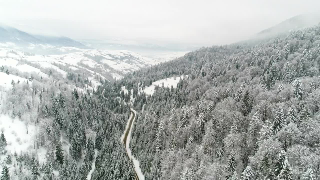 Stock Video Frozen Forest With A Road On A Frosty Day Live Wallpaper For PC - Free Download