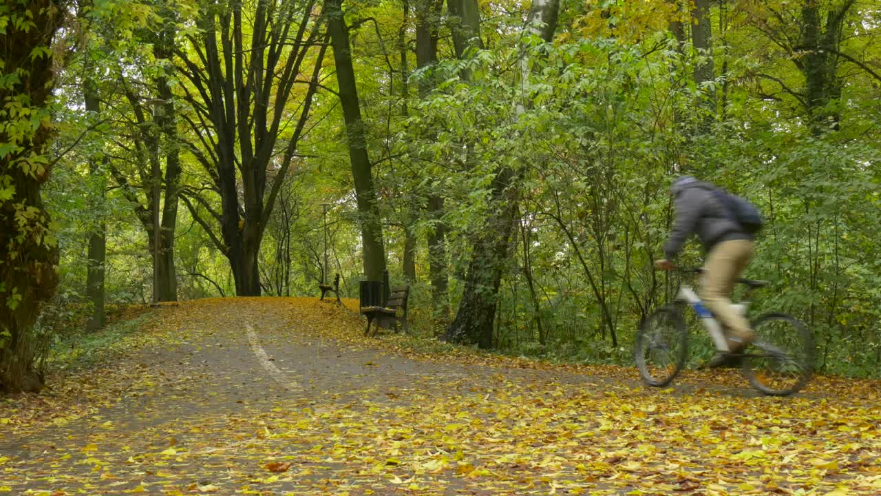 Stock Video Cyclist Pedaling On A Park Road Live Wallpaper For PC - Free Download