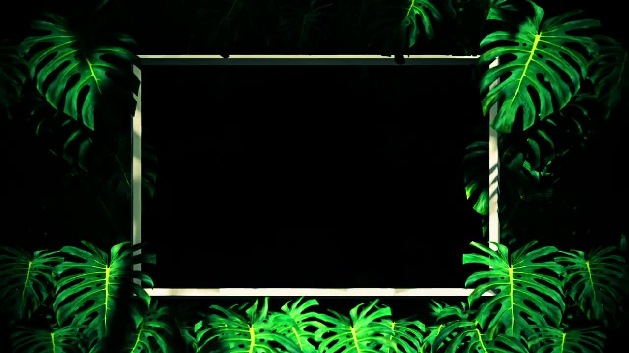 Stock Video Frames Between Tropical Tree Leaves Loop Video Live Wallpaper For PC - Free Download