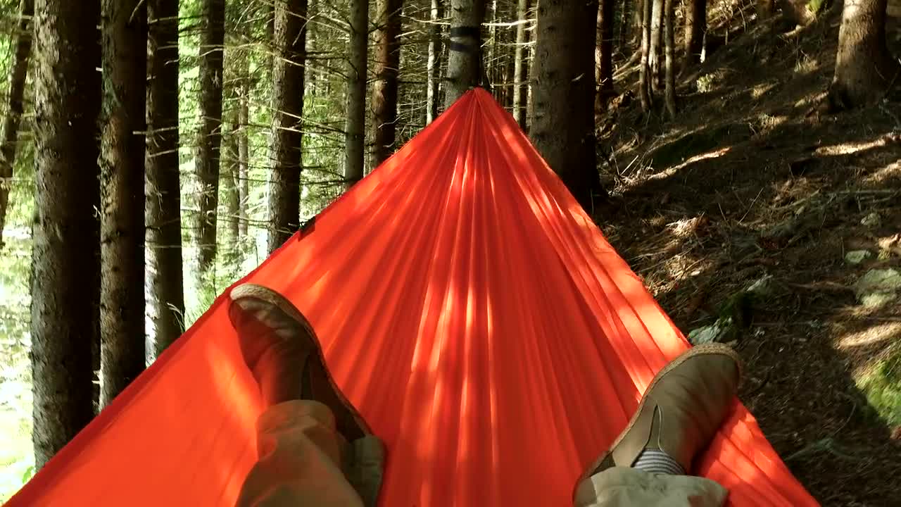 Stock Video Laying In A Hammock In The Forest Animated Wallpaper - Free Download