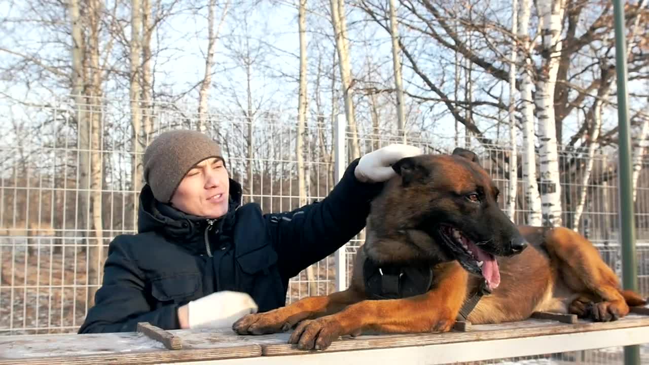 Stock Video Man Petting A Big Dog In The Par Animated Wallpaper - Free Download