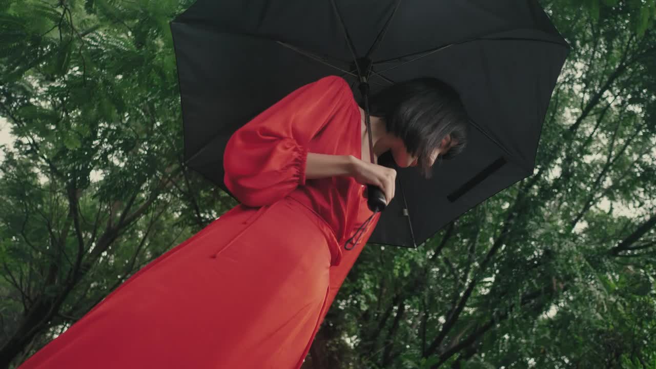 Stock Video Fashion Woman In Red With An Umbrella In A Forest Live Wallpaper For PC - Free Download