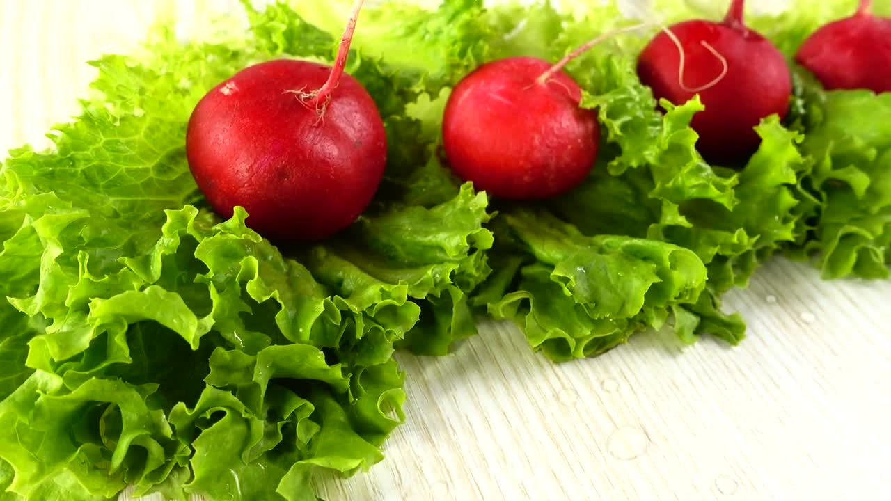 Video Stock Radishes Picked From A Garden Live Wallpaper Free - Free Download