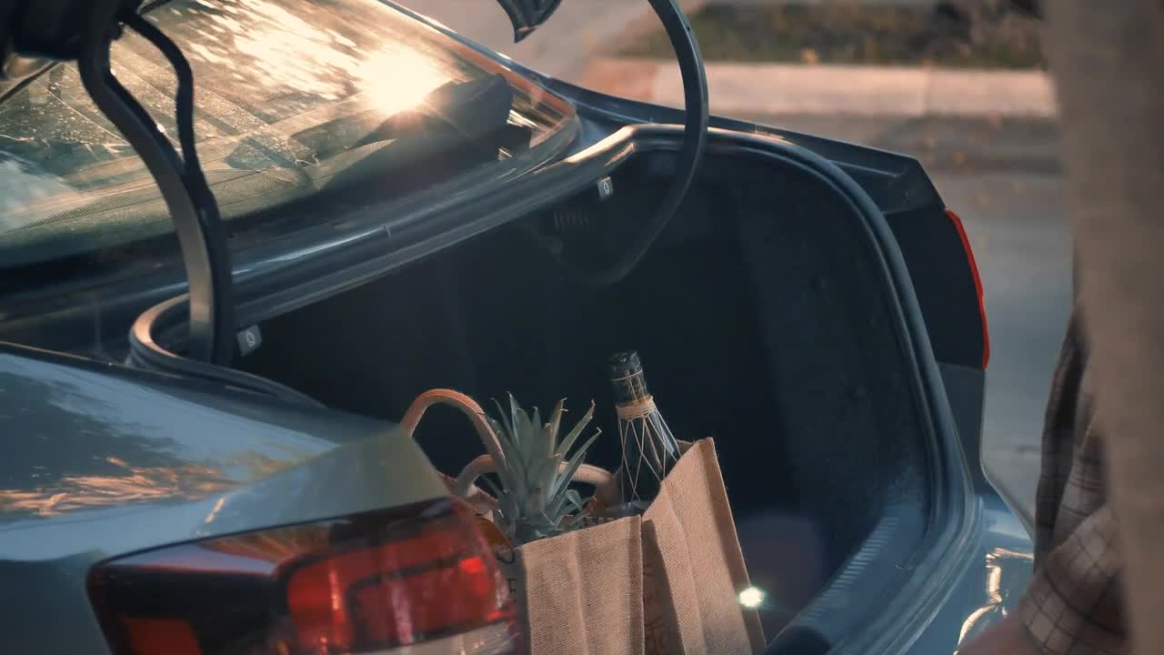 Free Stock Video Woman Picking Groceries From Her Car Live Wallpaper - Free Download