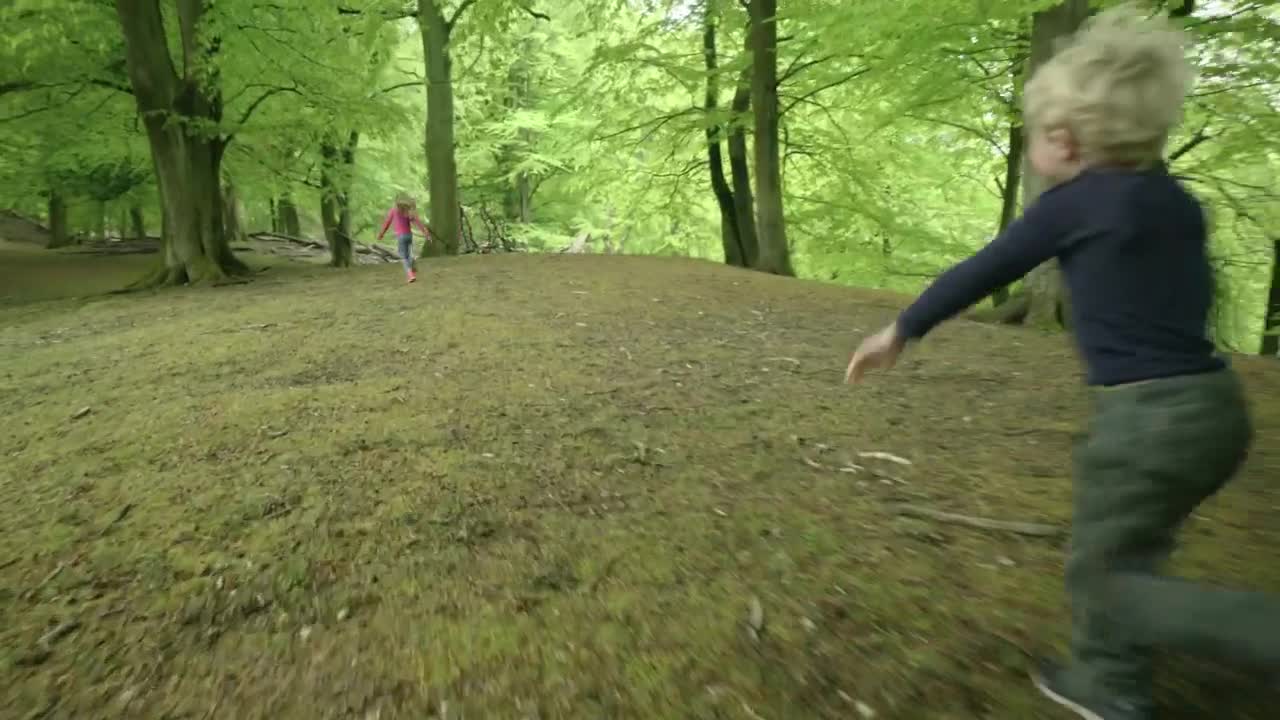 Free Stock Video Running Through Woodland Live Wallpaper - Free Download