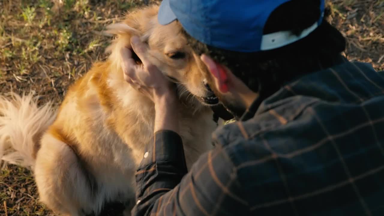 Stock Video Dog Being Petted Live Wallpaper For PC - Free Download