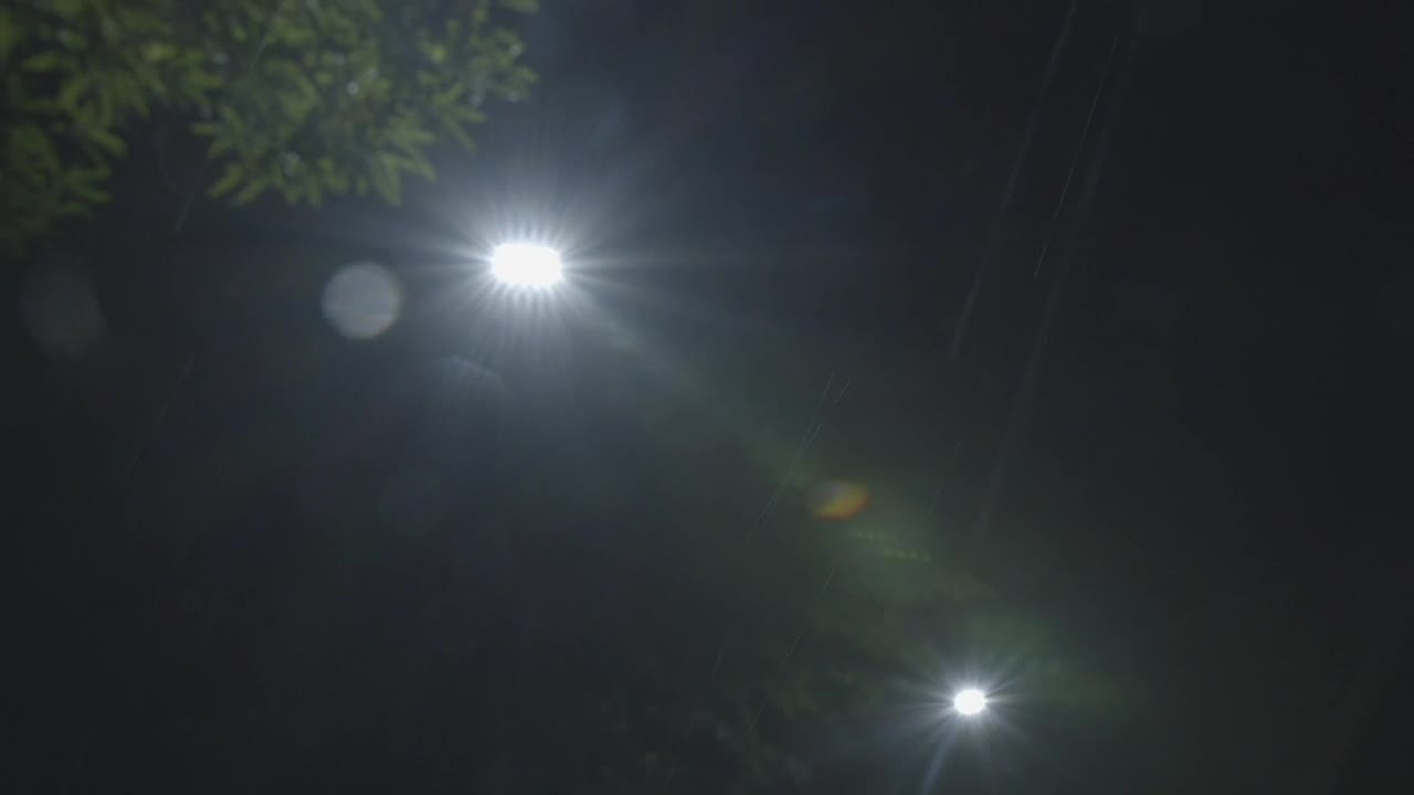 Free Video Stock Street Lamps At Night Live Wallpaper - Free Download