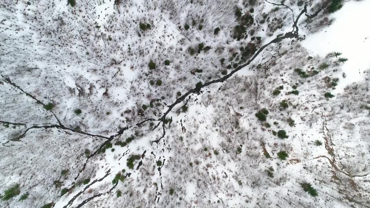 Free Stock Video Satellite View Of A Snowy Forest Live Wallpaper - Free Download