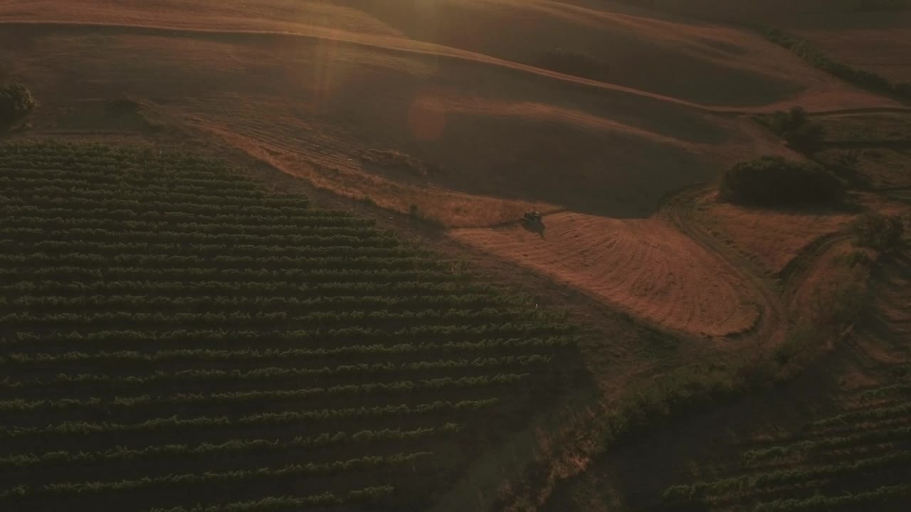 Stock Footage Vineyard As Dusk Live Wallpaper - Free Download
