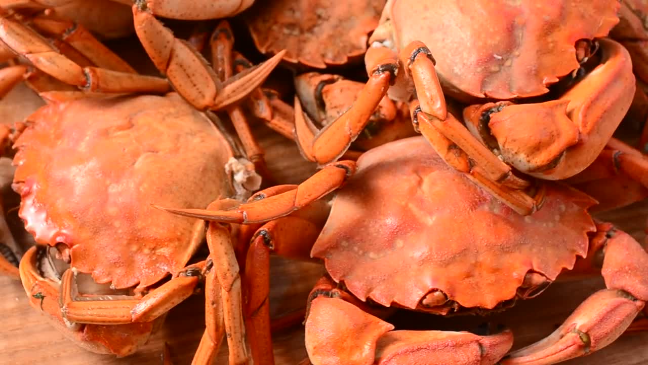 Video Stock Presentation Of Crabs Spinning Shot Live Wallpaper Free - Free Download