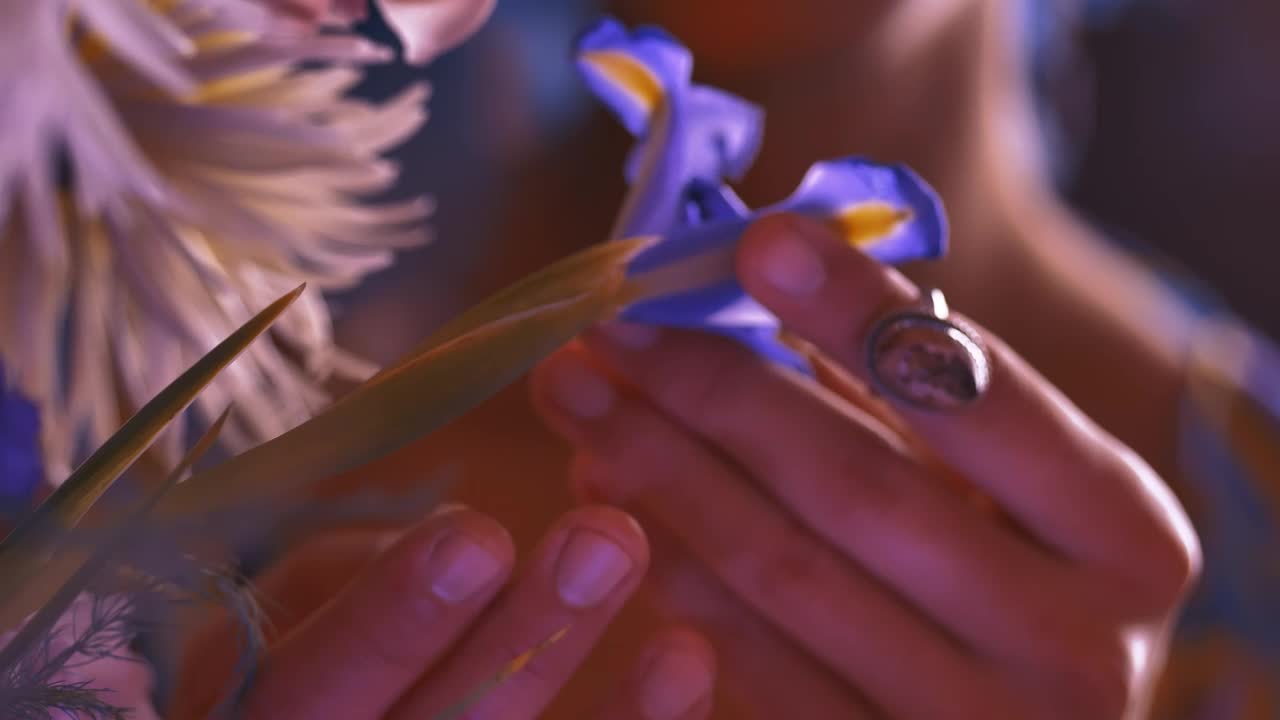 Stock Video Hands Of An Lgbtq Man Playing With A Flower Animated Wallpaper - Free Download