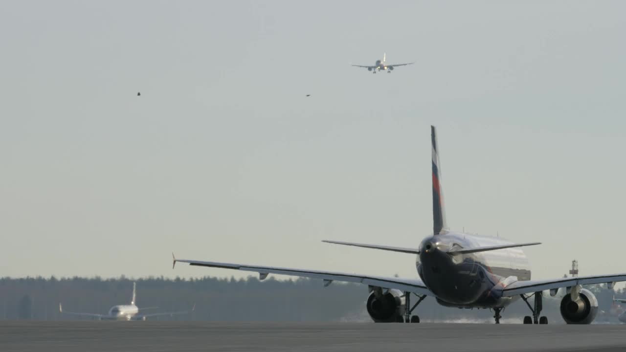 Video Stock Plane Landing While Another Moves To Take Off Live Wallpaper Free - Free Download