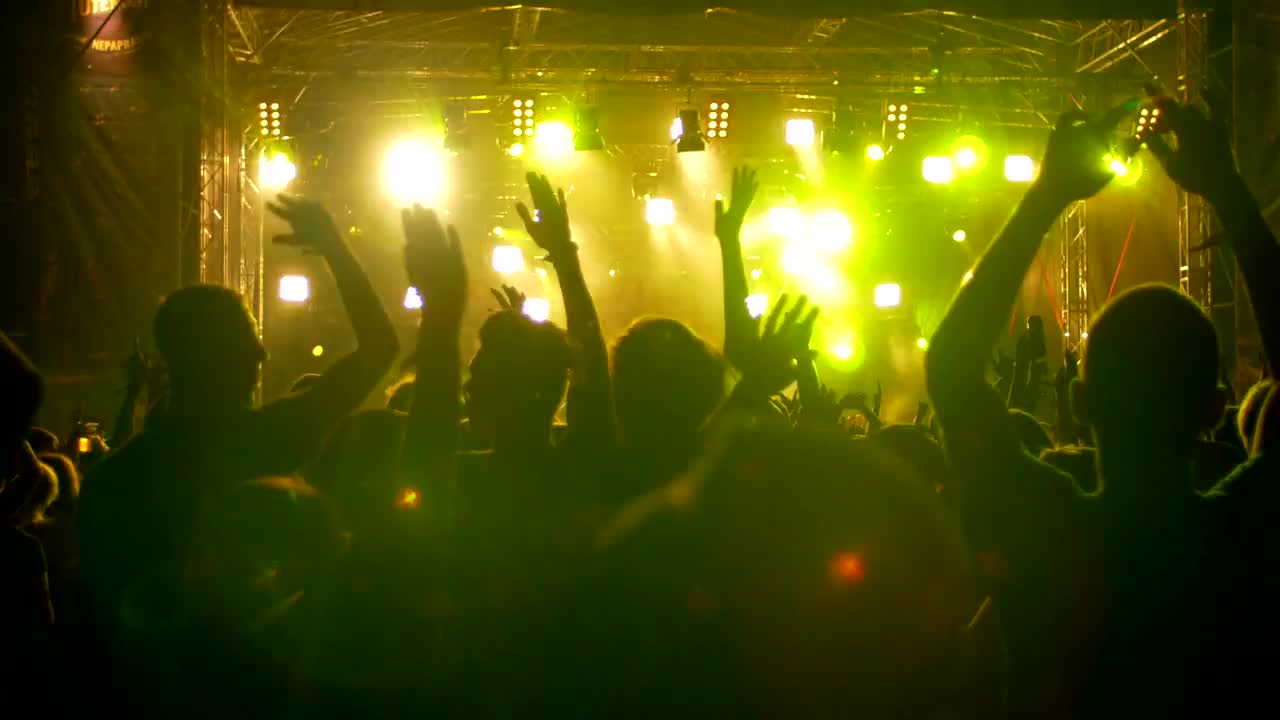 Stock Video Festival Crowd Jumping And Dancing At Night Live Wallpaper For PC - Free Download