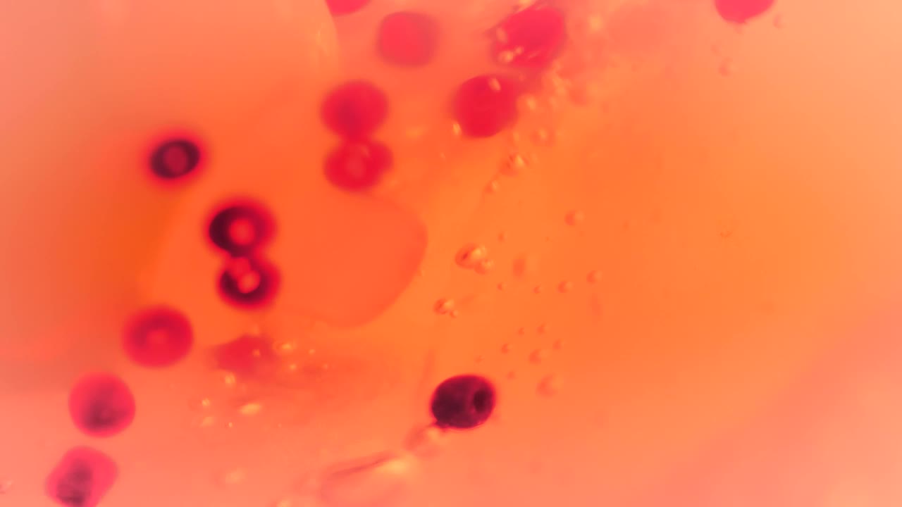 Stock Footage Viruses In Bloodstream Live Wallpaper - Free Download