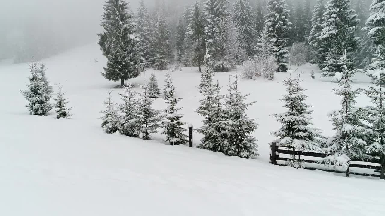 Free Video Stock Snowing On The Edge Of A Farm In The Woods Live Wallpaper - Free Download