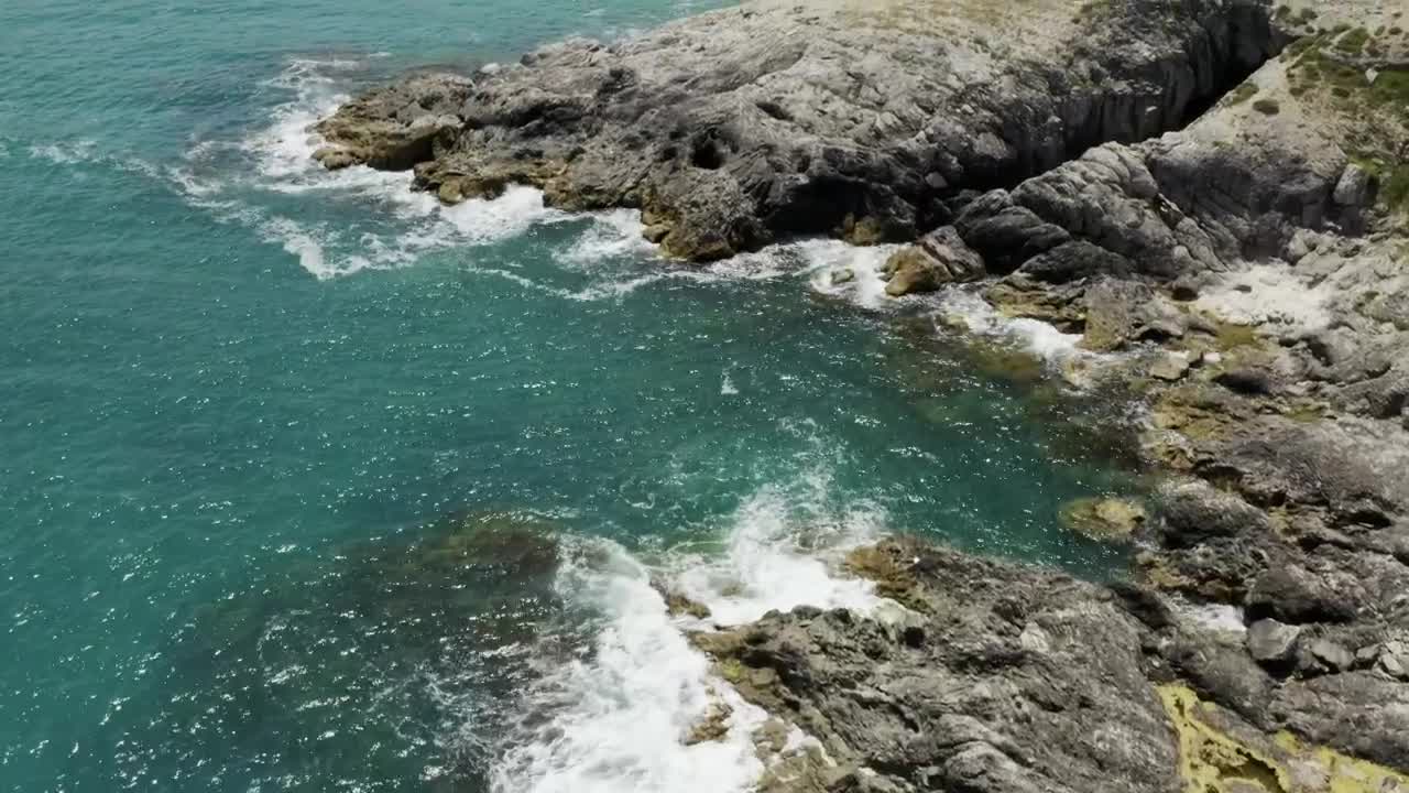 Video Stock Clear Water And Seaweed Covered Rocks Live Wallpaper For PC - Free Download